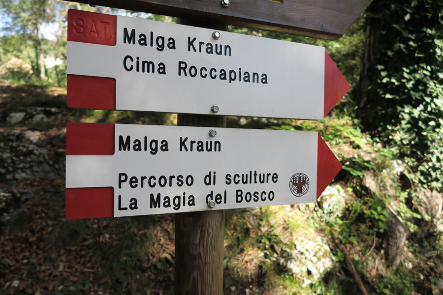 IMG_3509 - Copia.jpg